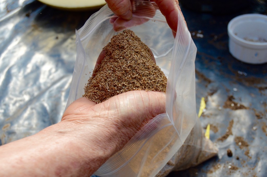 Colorado Native Seed